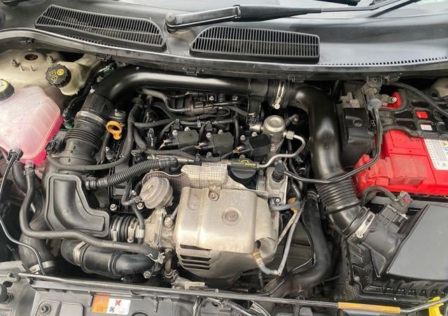 Ford Fiesta 2016 (3)