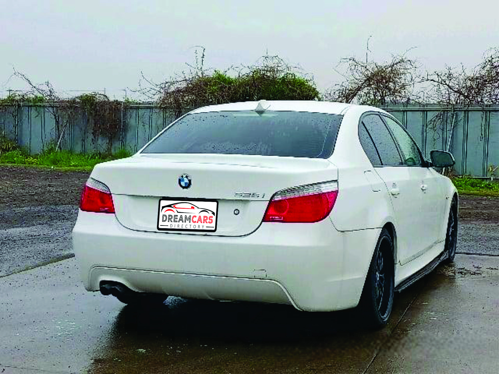 BMW 525i 2010 (3)