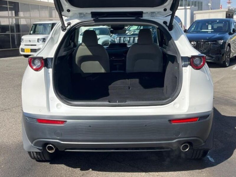 Mazda CX-30 2020 (4)