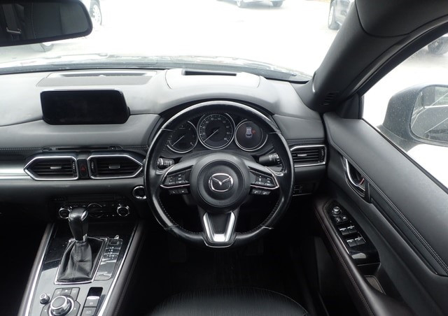 Mazda CX-8 2018 (6)