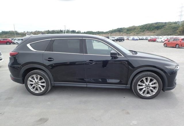 Mazda CX-8 2018 (3)