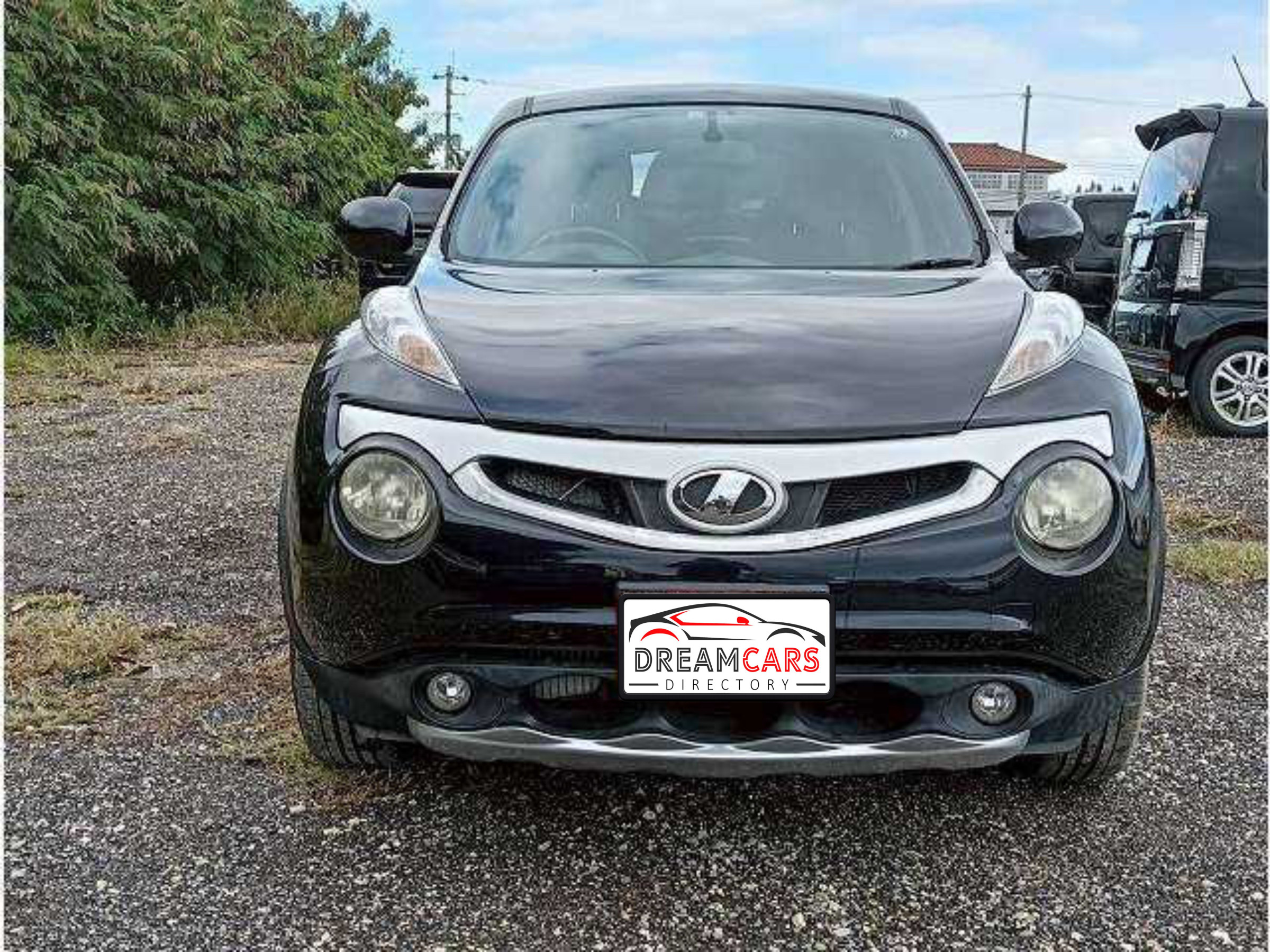 Nissan Juke 2012 (2)