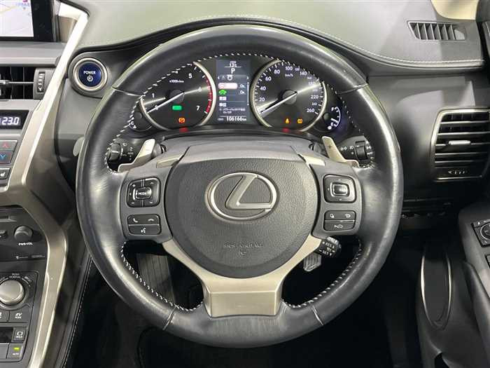 Lexus NX 300h 2015 (5)