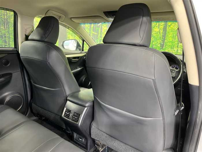 Lexus NX 300h 2015 (7)