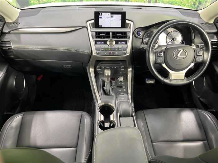 Lexus NX 300h 2015 (4)