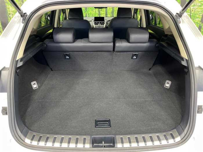 Lexus NX 300h 2015 (8)