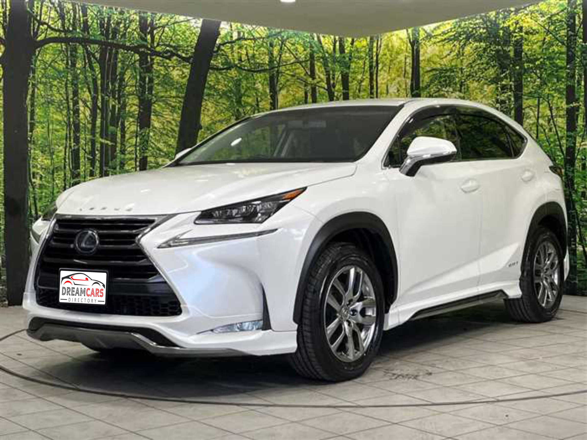 Lexus NX 300h 2015