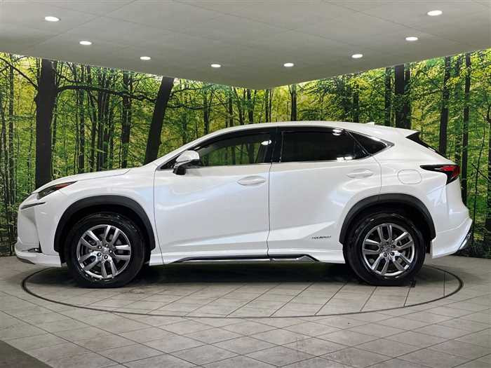 Lexus NX 300h 2015 (2)