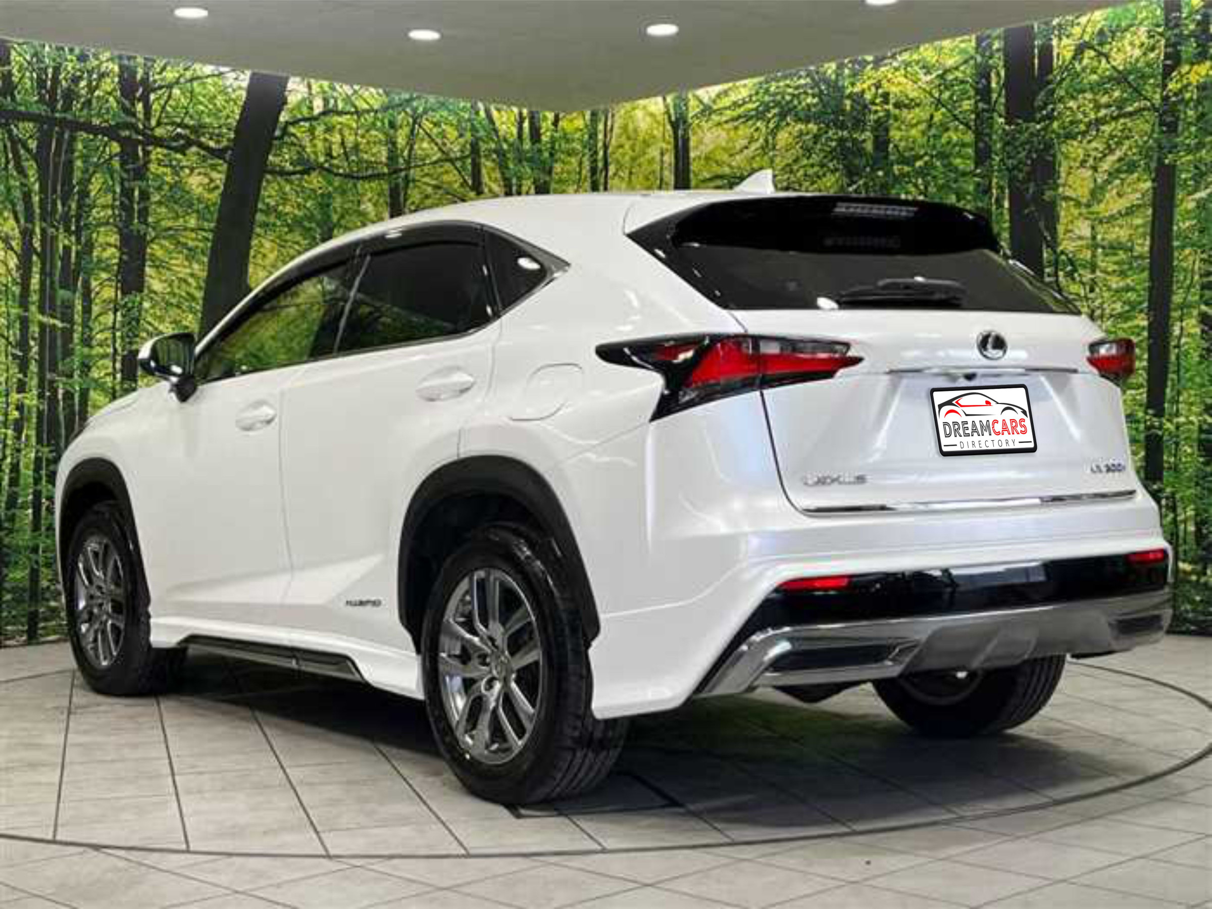 Lexus NX 300h 2015 (3)