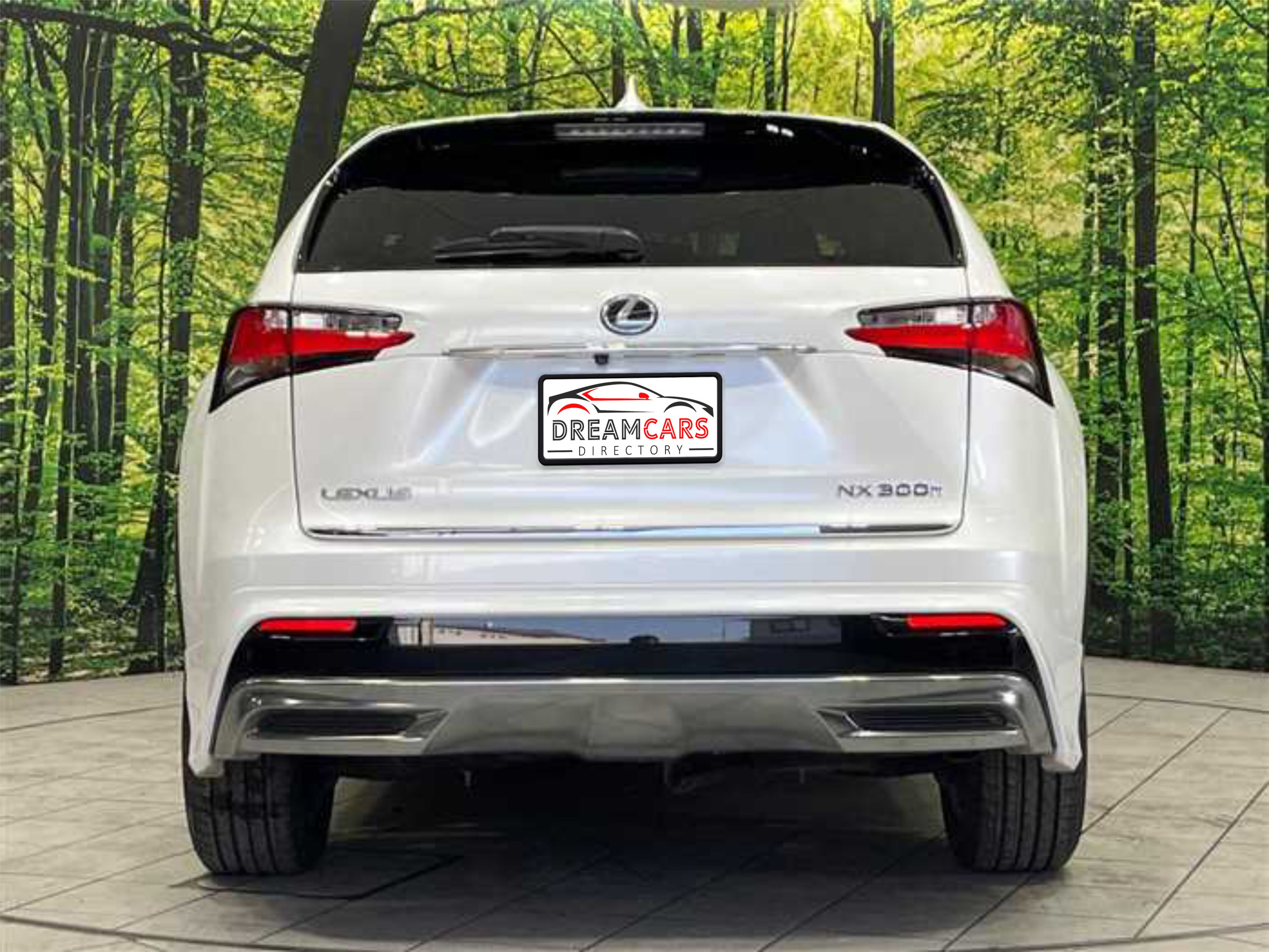 Lexus NX 300h 2015 (9)