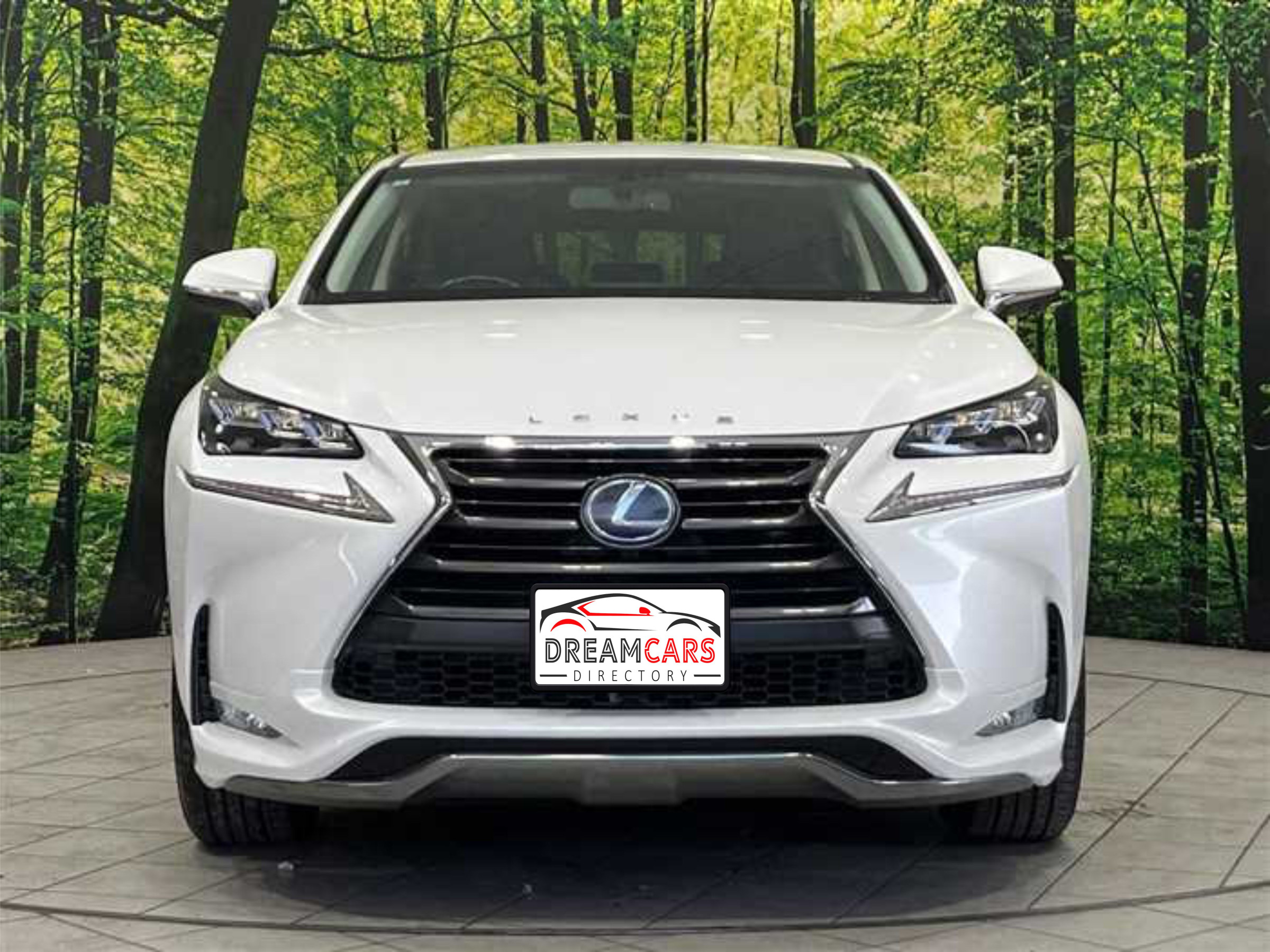 Lexus NX 300h 2015 (10)