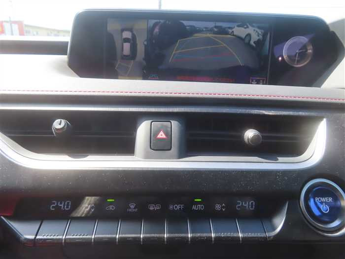 Lexus UX 250h 2019 (7)