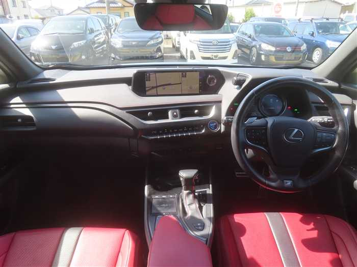 Lexus UX 250h 2019 (5)