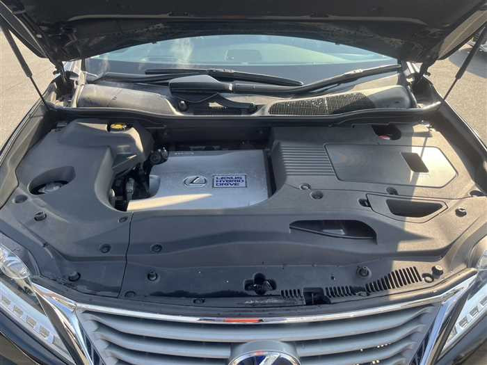 Lexus RX 450h 2014 (3)