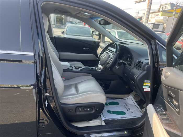 Lexus RX 450h 2014 (4)
