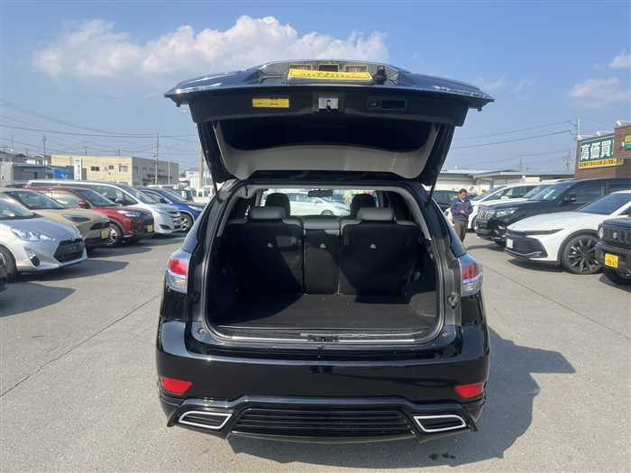 Lexus RX 450h 2014 (9)