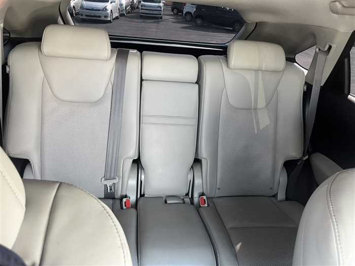 Lexus RX 450h 2014 (5)