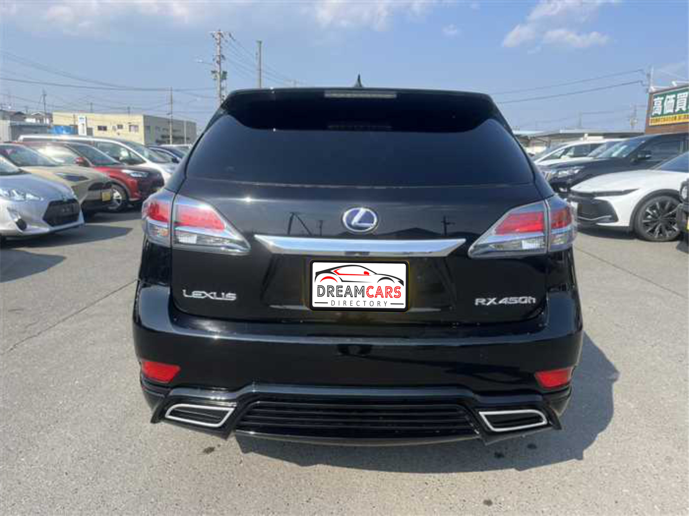 Lexus RX 450h 2014 (2)