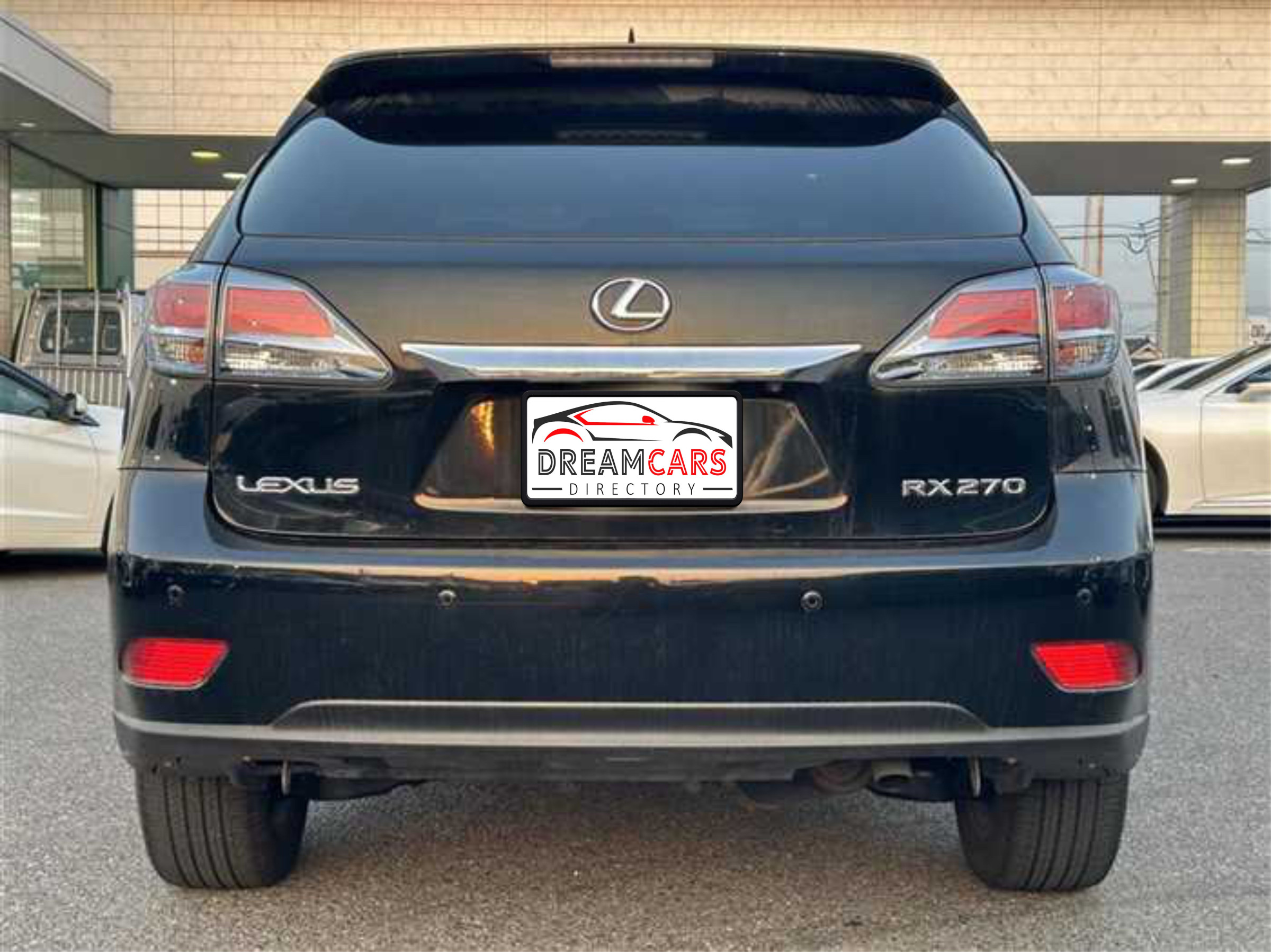 Lexus RX 270 2012 (10)