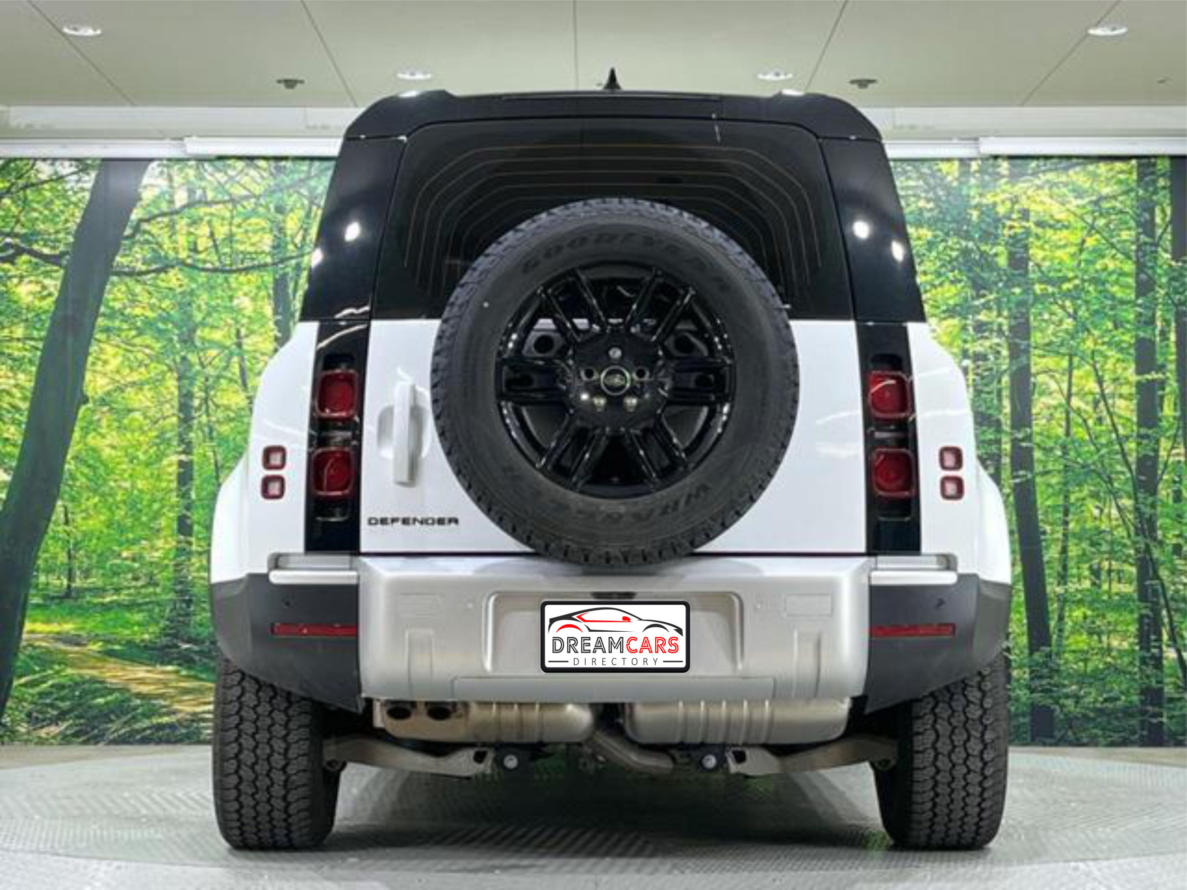 Land Rover Defender 110 2023 (3)